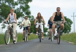 Wycieczki rowerowe w okolicy Gyopárosfürdő 