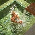 NaturMed Hotel Carbona****superior NaturMed Hotel Carbona****superior