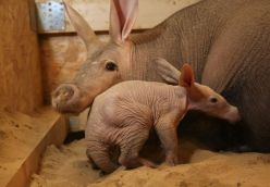 Xantus János Állatkert Győr